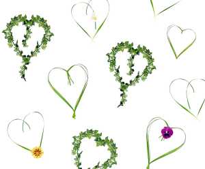 Ursus TRANSP.PAPIER "HEARTBEAT"115G.A4,5BL. 4008525689072