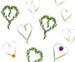 Ursus TRANSP.PAPIER "HEARTBEAT"115G.A4,5BL....