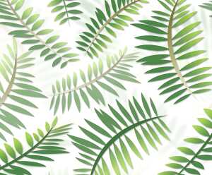 Ursus TRANSP.PAPIER "PALMWEDEL"115G.A4,5BL.