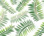Ursus TRANSP.PAPIER "PALMWEDEL"115G.A4,5BL.