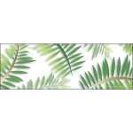 Ursus TRANSP.PAPIER "PALMWEDEL"115G.A4,25BL.