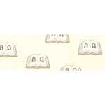 Ursus TRANSP.PAPIER "CHR.SYMBOLE"115G.A4,25BL....