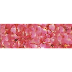 Ursus TRANSP.PAPIER "FLORA"115G.50x61CM,MOT.06