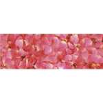 Ursus TRANSP.PAPIER "FLORA"115G.50x61CM,MOT.06