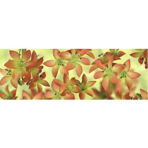 Ursus TRANSP.PAPIER "FLORA"115G.50x61CM,MOT.11