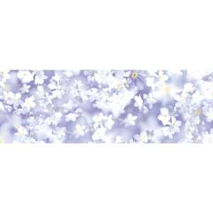 Ursus TRANSP.ROLLE "FLORA"115G.50x61CM,MOT.01