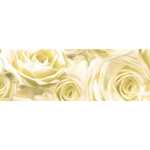 Ursus TRANSP.PAPIER "ROSEN"115G.50x61CM,CHAMPAGNER