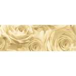 Ursus TRANSP.PAPIER "ROSEN"115G.50x61CM,ANTIK