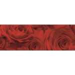 Ursus TRANSP.PAPIER "ROSEN"115G.50x61CM,ROT