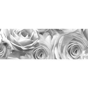 Ursus TRANSP.PAPIER "ROSEN"115G.50x61CM,GRAPHIT