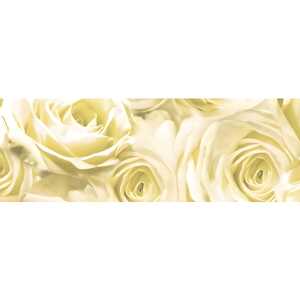 Ursus TRANSP.ROLLE "ROSEN"115G.50x61CM,CHAMPAGNER