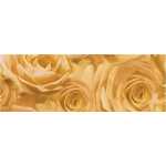 Ursus TRANSP.ROLLE "ROSEN"115G.50x61CM,APRICOT