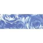 Ursus TRANSP.ROLLE "ROSEN"115G.50x61CM,MITTELBLAU
