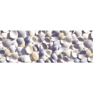 Ursus TRANSP.PAPIER "MARITIM"115G.50x61CM,MUSCHELN