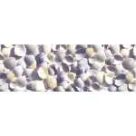 Ursus TRANSP.ROLLE "MARITIM"115G.50x61CM,MUSCHELN