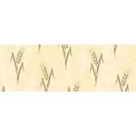 Ursus TRANSP.ROLLE "CHR.SYMBOLE"115G.50x61CM...