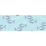 Ursus TRANSP.ROLLE "CHR.SYMBOLE"115G.50x61CM...