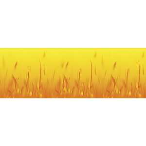 Ursus FOTOKTN.300G.DIN A4,25BL.ELEMENTE FEUER