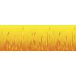 Ursus FOTOKTN.300G.DIN A4,25BL.ELEMENTE FEUER