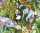 Ursus TRANSP.PAPIER "KINDERLAND"115G.A4,5BL. 4008525070658