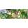Ursus TRANSP.ROLLE "KINDERLAND"115G.50x61CM 4008525070733