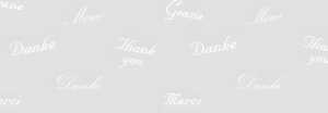 Ursus TRANSP.ROLLE "WHITE LINE"115G.50x61CM 4008525696285