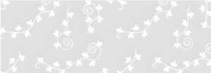 Ursus TRANSP.ROLLE "WHITE LINE"115G.50x61CM 4008525696278