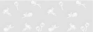 Ursus TRANSP.ROLLE "WHITE LINE"115G.50x61CM 4008525696292