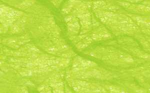 Ursus DIGITAL STROHSEIDE 25G.DIN A4,10BL.HELLGRÜN