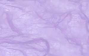 Ursus DIGITAL STROHSEIDE 25G.DIN A4,10BL.LAVENDEL