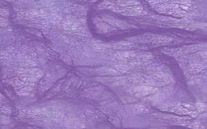 Ursus DIGITAL STROHSEIDE 25G.DIN A4,10BL.LILA