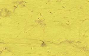 Ursus DIGITAL BANANENPAP.35G.10BL.DIN A4,CITRONENG.