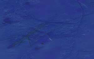 Ursus DIGITAL BANANENPAP.35G.10BL.DIN A4,DUNKELBLAU