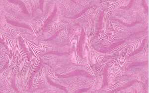 Ursus DIGITAL SEIDENR.-TRANSP.42G.10BL.DIN A4,EOSIN