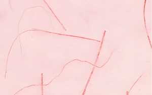 Ursus DIGITAL MIKADO 80G.10BL.DIN A4,ROSA