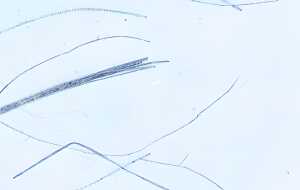 Ursus DIGITAL MIKADO 80G.10BL.DIN A4,HELLBLAU