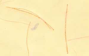 Ursus DIGITAL MIKADO 80G.10BL.DIN A4,HELLBRAUN