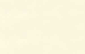 Ursus DIGITAL ELEFANTENH.110G.10BL.DIN A4,WEISS