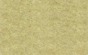 Ursus DIGITAL ELEFANTENH.110G.10BL.DIN A4,CHAMOIS