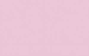 Ursus DIGITAL TRANSP.115G.10BL.DIN A4,ROSA