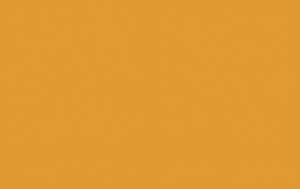 Ursus DIGITAL TRANSP.115G.10BL.DIN A4,ORANGE