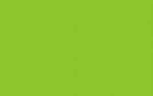 Ursus DIGITAL TRANSP.115G.10BL.DIN A4,GRASGRÜN