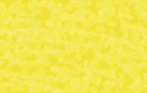 Ursus DIGITAL PLEASURE 135G.10BL.DIN A4,CITRONENGEL