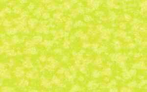 Ursus DIGITAL PLEASURE 135G.10BL.DIN A4,HELLGRÜN