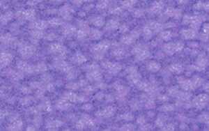 Ursus DIGITAL PLEASURE 135G.10BL.DIN A4,LILA