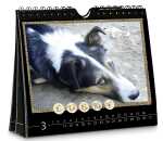 Ursus WAND- UND TISCHKALENDER 14x16,5CM, SCHWARZ