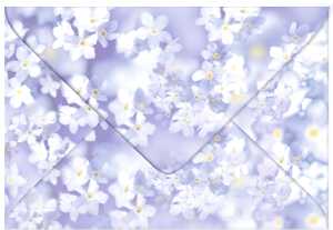 Ursus TRANSP.COUVERTS B6,5ST.FLORA VERGISSMEINNICHT