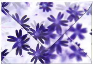 Ursus TRANSP.COUVERTS B6,5ST.FLORA BLÜMCHEN