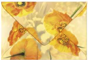 Ursus TRANSP.COUVERTS B6,5ST.FLORA ISLANDMOHN