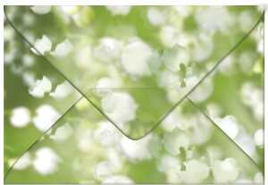 Ursus TRANSP.COUVERTS B6,5ST.FLORA MAIGLÖCKCHEN